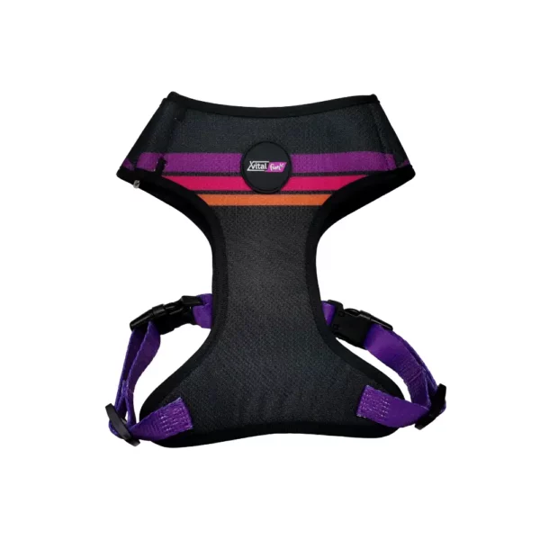 Vitalfun Arnes Pechera Minimal Black S/M