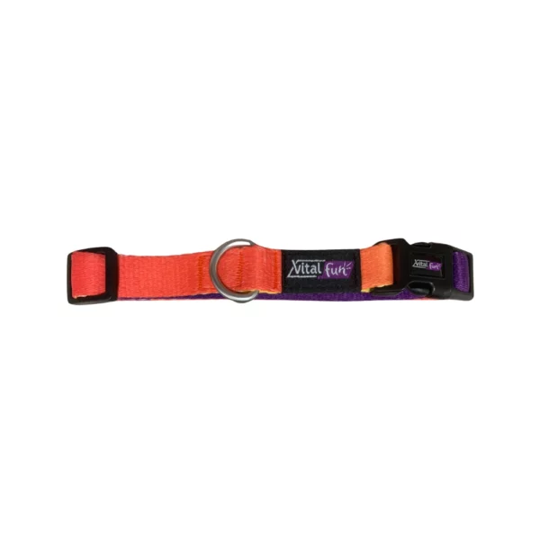 Vitalfun Collar Geo Fluo S/M