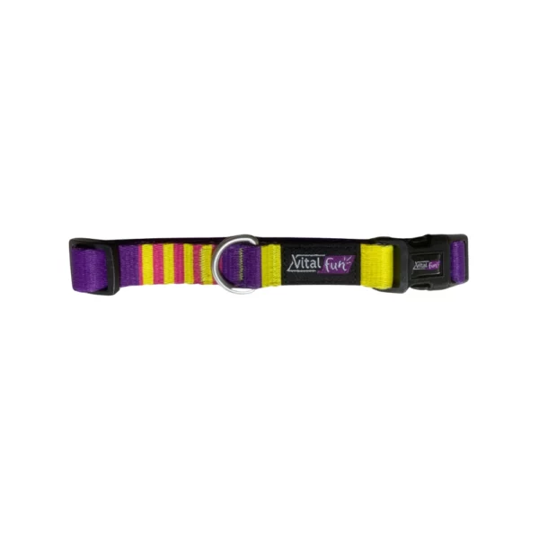 Vitalfun Collar Pop Art S/M