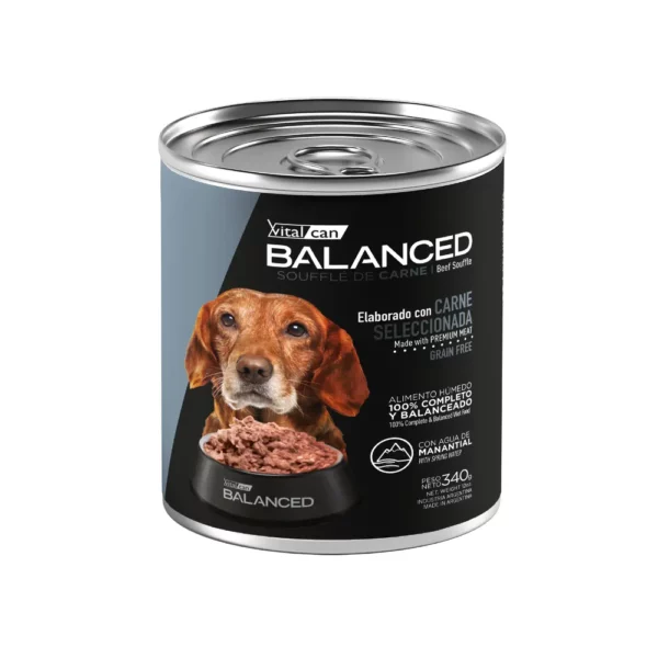 Balanced Perro Senior Lata Carne - 340 Gr