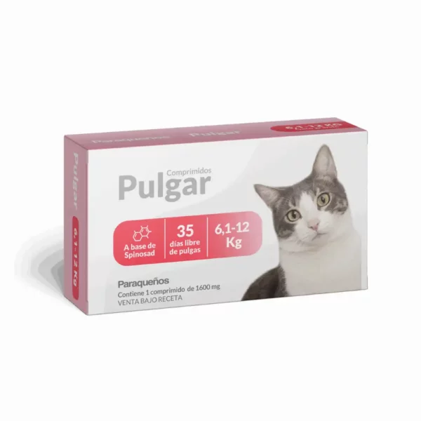 Pulgar Gatos - 6 a 12 Kg